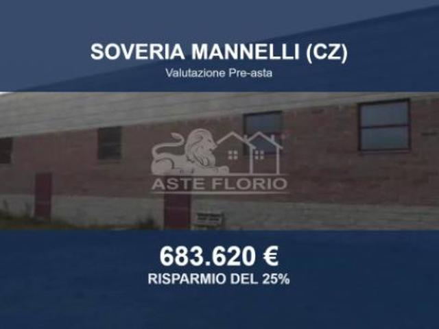 Immobile in asta di 5721 m in vendita a Soveria Mannelli