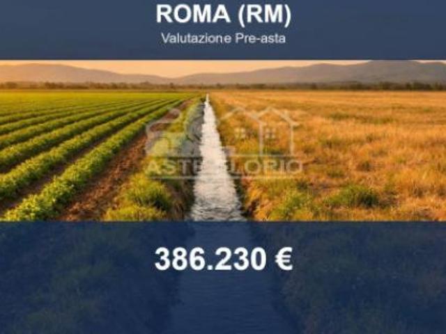 Immobile in asta di 57728 m in vendita a Roma