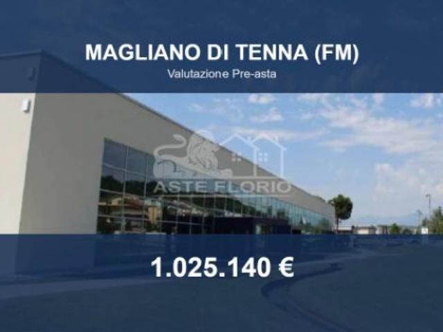 Immobile in asta di 5776 m in vendita a Magliano di Tenna