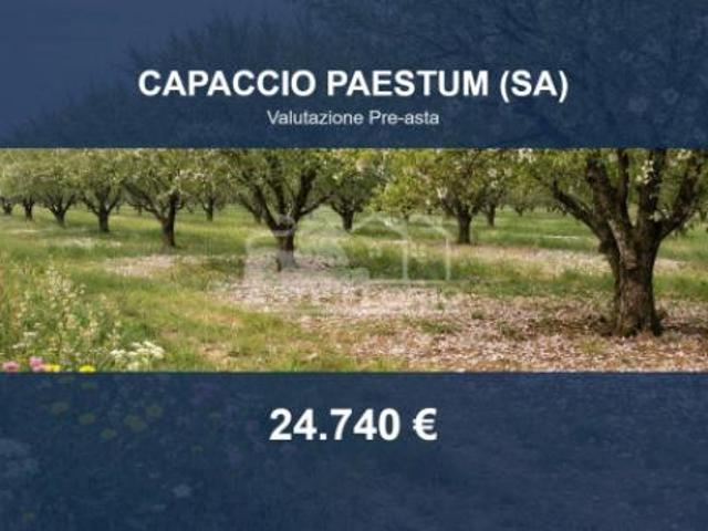 Immobile in asta di 5799 m in vendita a Capaccio Paestum