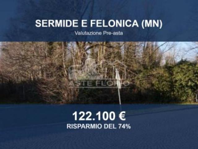 Immobile in asta di 58350 m in vendita a Sermide e Felonica
