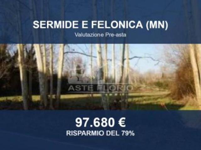 Immobile in asta di 58350 m in vendita a Sermide e Felonica