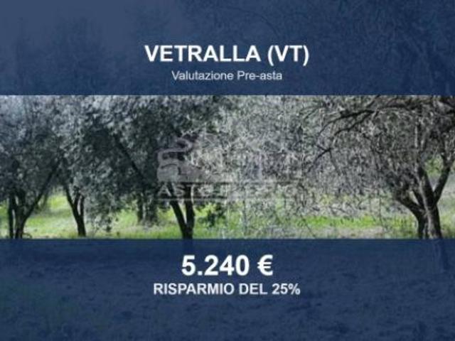 Immobile in asta di 5870 m in vendita a Vetralla