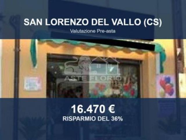 Immobile in asta di 58 m in vendita a San Lorenzo del Vallo