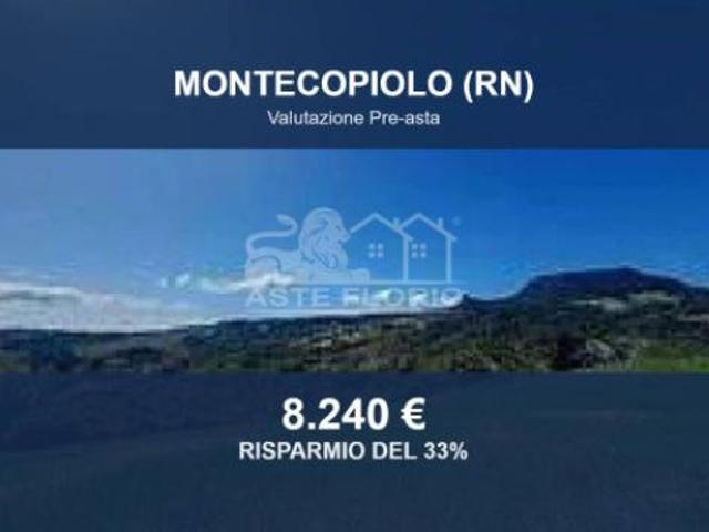 Immobile in asta di 50000 m in vendita a Montecopiolo