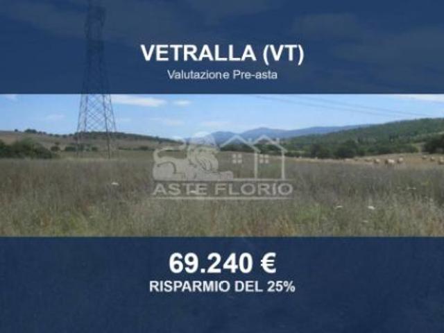 Immobile in asta di 50000 m in vendita a Vetralla