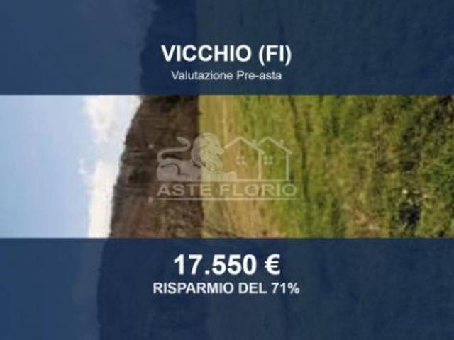 Immobile in asta di 5027 m in vendita a Vicchio