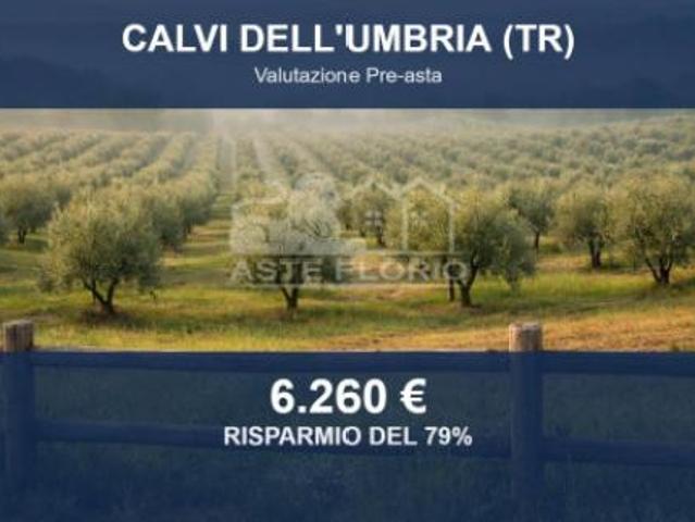 Immobile in asta di 50597 m in vendita a Calvi dell'Umbria