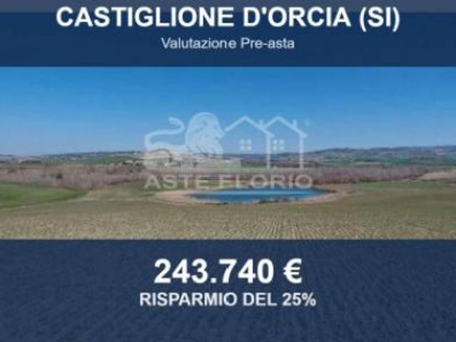 Immobile in asta di 508625 m in vendita a Castiglione d'Orcia