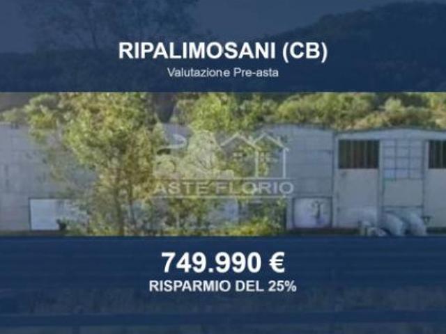 Immobile in asta di 5087 m in vendita a Ripalimosani
