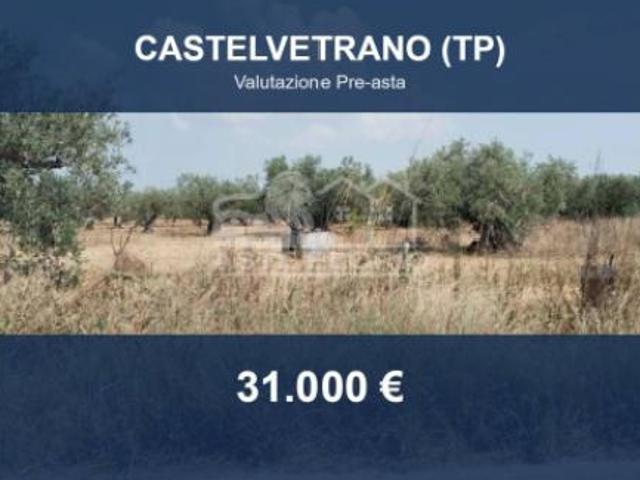 Immobile in asta di 50 m in vendita a Castelvetrano