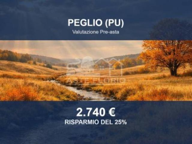Immobile in asta di 50 m in vendita a Peglio
