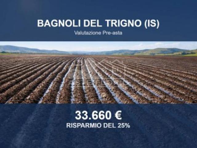 Immobile in asta di 52058 m in vendita a Bagnoli del Trigno