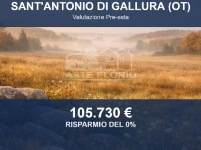 Immobile in asta di 52870 m in vendita a Sant'Antonio di Gallura