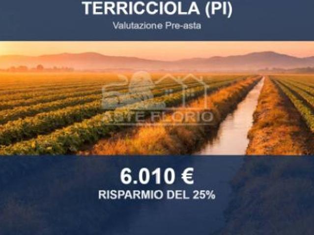 Immobile in asta di 5347 m in vendita a Terricciola