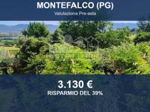 Immobile in asta di 5380 m in vendita a Montefalco