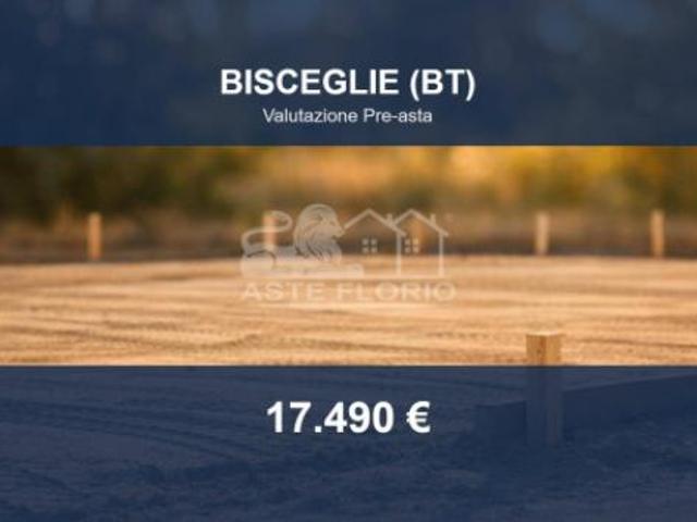 Immobile in asta di 5 m in vendita a Bisceglie