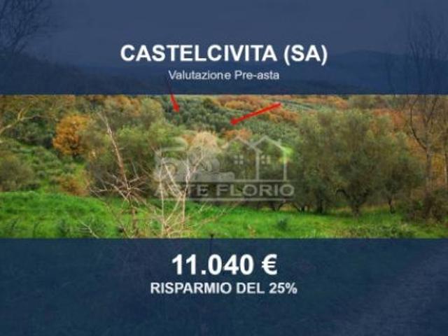 Immobile in asta di 6433 m in vendita a Castelcivita