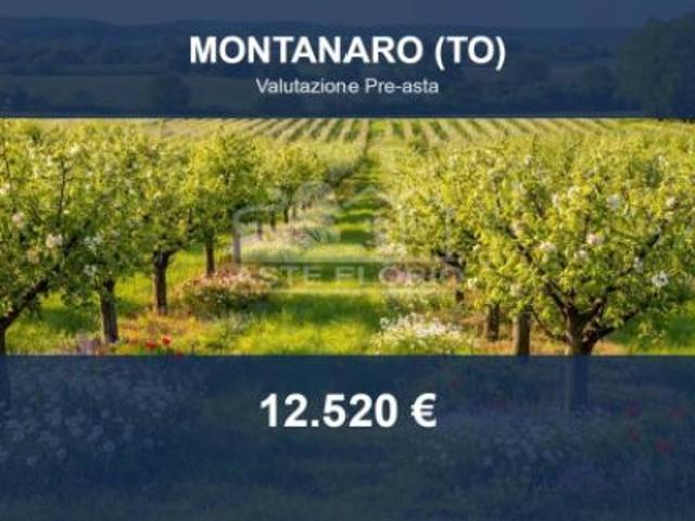 Immobile in asta di 6530 m in vendita a Montanaro