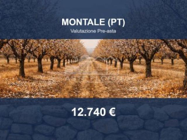 Immobile in asta di 65990 m in vendita a Montale