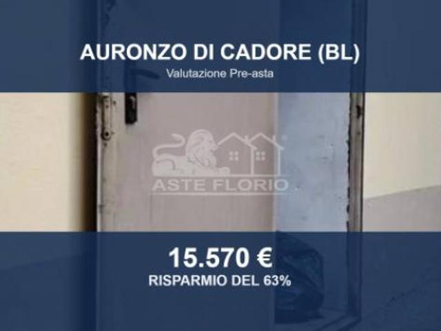 Immobile in asta di 65 m in vendita a Auronzo di Cadore