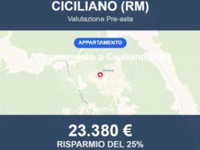 Immobile in asta di 66 m in vendita a Ciciliano