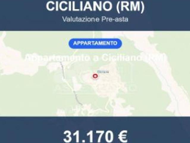 Immobile in asta di 66 m in vendita a Ciciliano