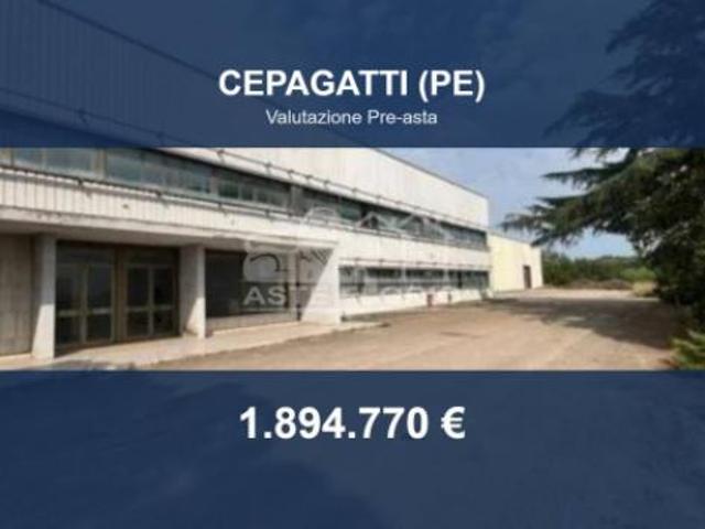 Immobile in asta di 68500 m in vendita a Cepagatti