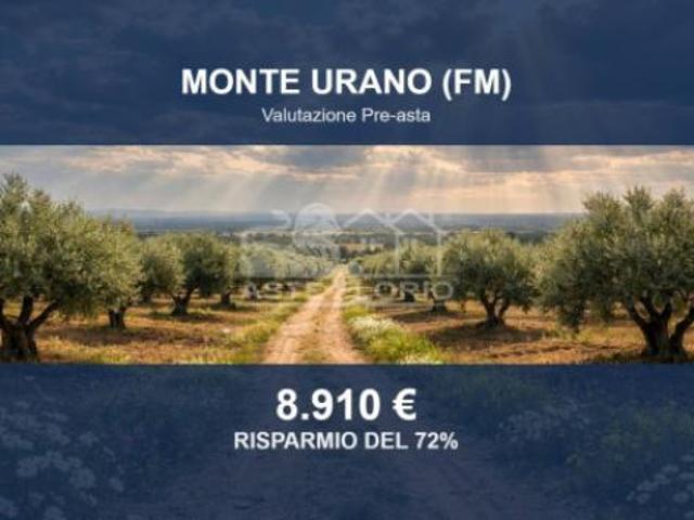 Immobile in asta di 6975 m in vendita a Monte Urano