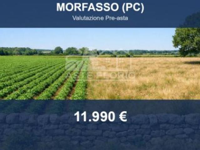 Immobile in asta di 6000 m in vendita a Morfasso