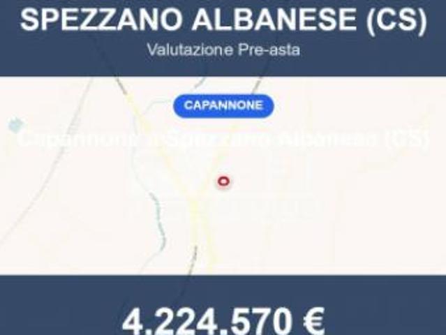 Immobile in asta di 6000 m in vendita a Spezzano Albanese