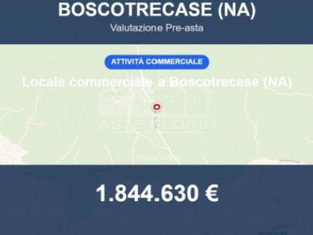 Immobile in asta di 600 m in vendita a Boscotrecase
