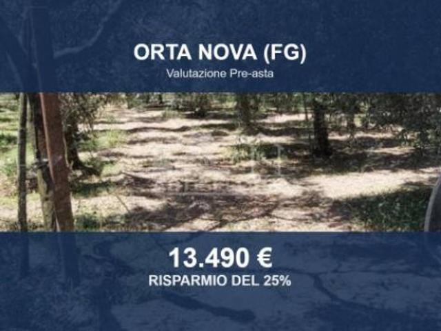Immobile in asta di 6030 m in vendita a Stornara