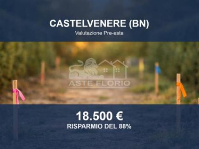 Immobile in asta di 6045 m in vendita a Castelvenere