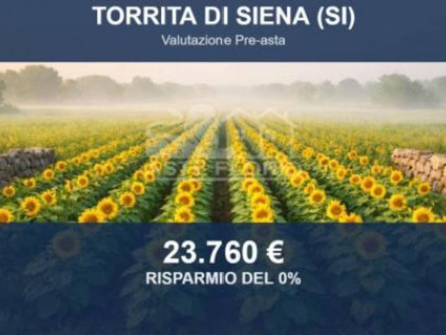 Immobile in asta di 60524 m in vendita a Torrita di Siena