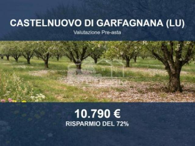 Immobile in asta di 60534 m in vendita a Castelnuovo di Garfagnana