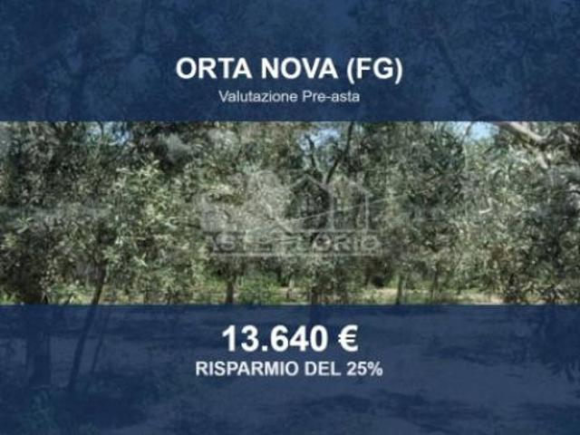 Immobile in asta di 6065 m in vendita a Stornara