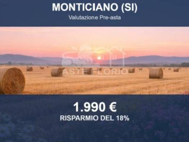 Immobile in asta di 6090 m in vendita a Monticiano