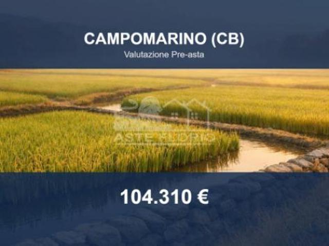 Immobile in asta di 61505 m in vendita a Campomarino