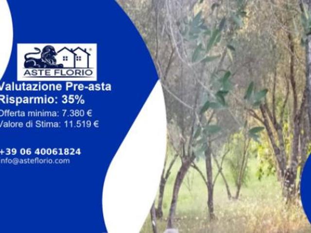 Immobile in asta di 6 m in vendita a Seminara