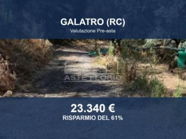 Immobile in asta di 62700 m in vendita a Galatro