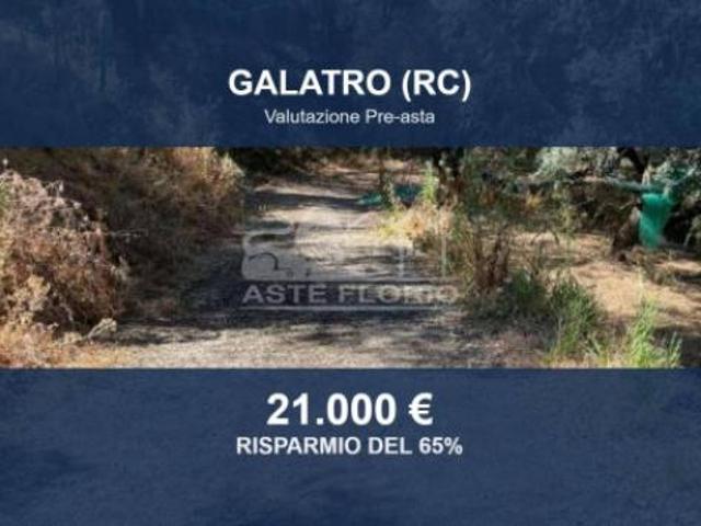 Immobile in asta di 62700 m in vendita a Galatro