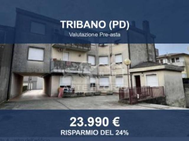 Immobile in asta di 63 m, box auto in vendita a Tribano