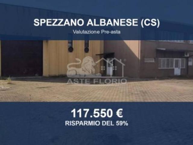 Immobile in asta di 740 m in vendita a Spezzano Albanese
