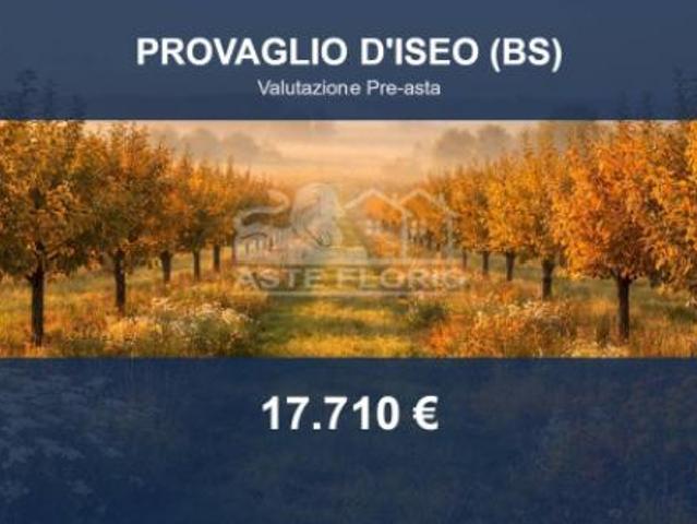 Immobile in asta di 7450 m in vendita a Provaglio d'Iseo