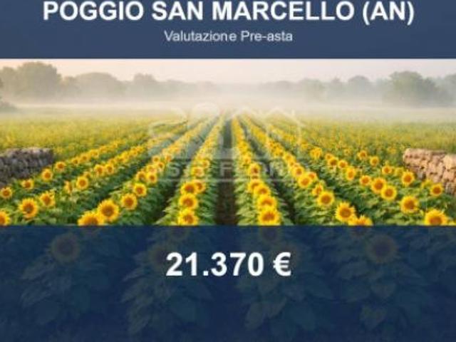 Immobile in asta di 7454 m in vendita a Poggio San Marcello