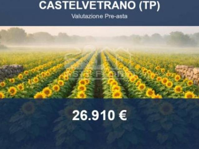 Immobile in asta di 7565 m in vendita a Castelvetrano