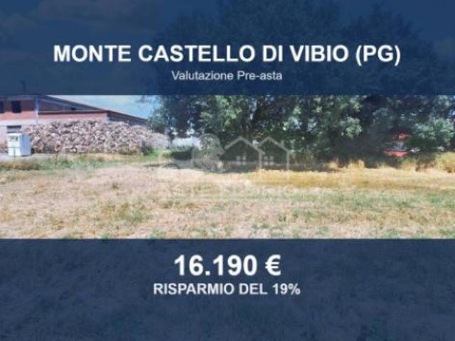 Immobile in asta di 75660 m in vendita a Monte Castello di Vibio