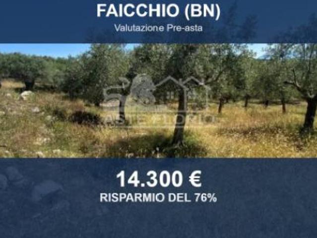 Immobile in asta di 7770 m in vendita a Faicchio