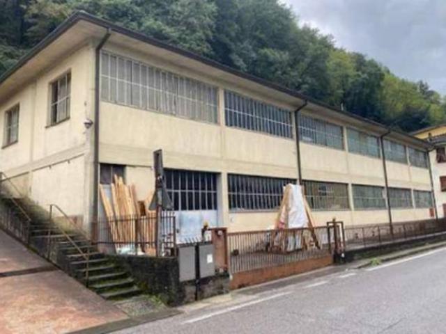 Immobile in asta di 783 m con più di 5 locali in vendita a Borgo a Mozzano